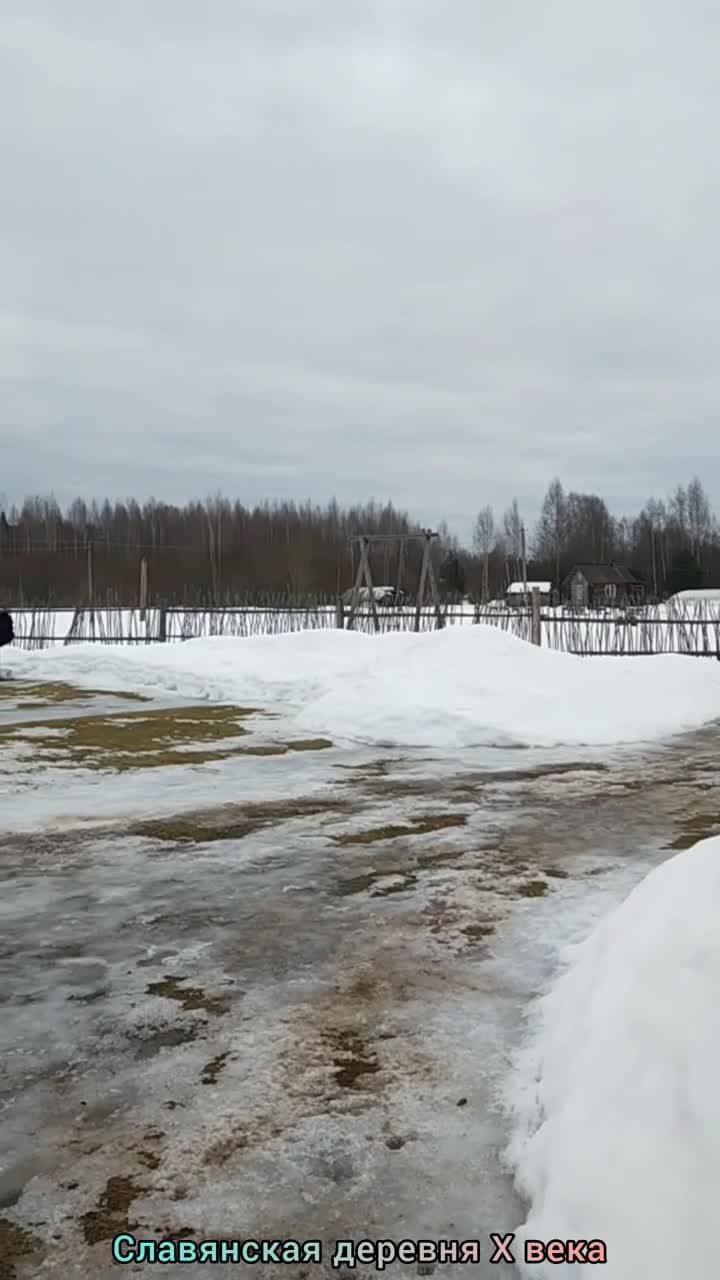 Небольшое видео... Славянская деревня X века — музей под открытым небом в поселке Любытино.

#СлавянскаяДеревня #достопримечательности #любытино #новгородскаяобласть #swapmap