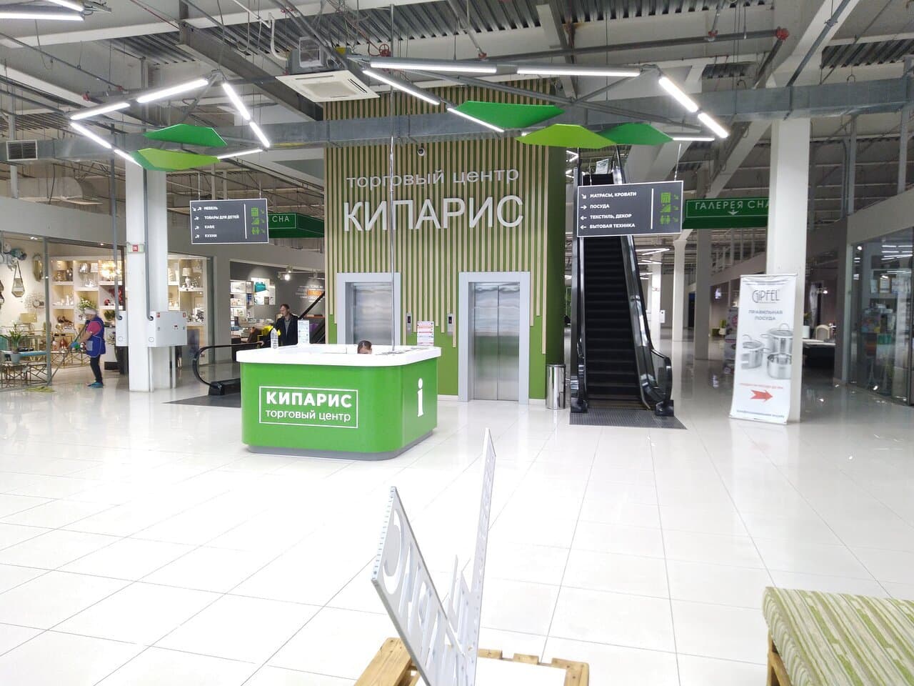 Кипарис