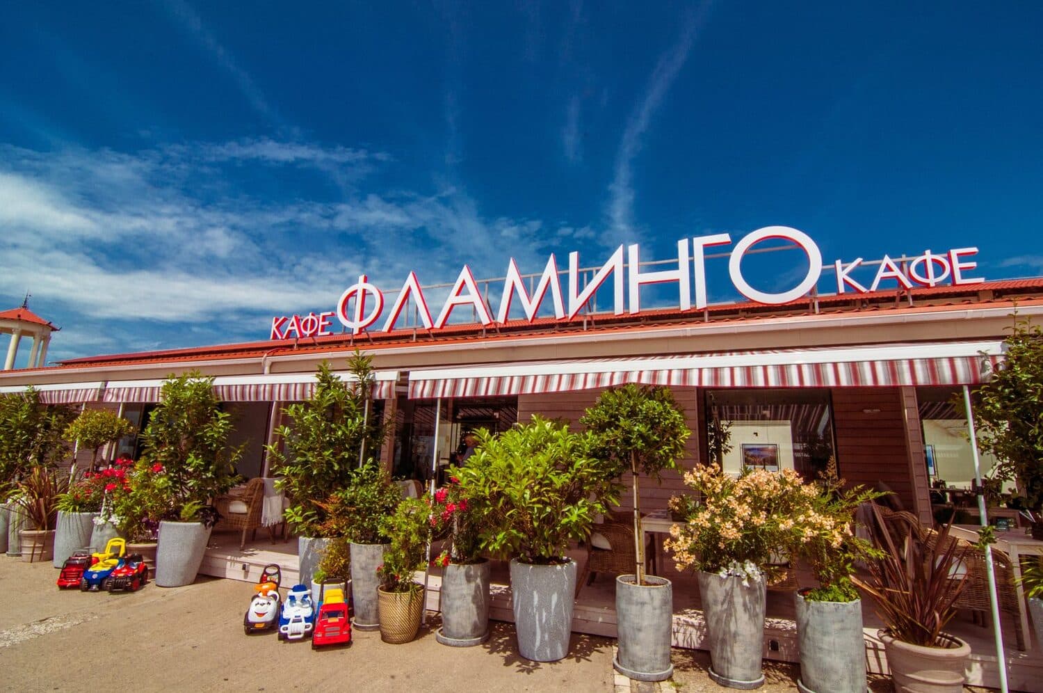 Фламинго
