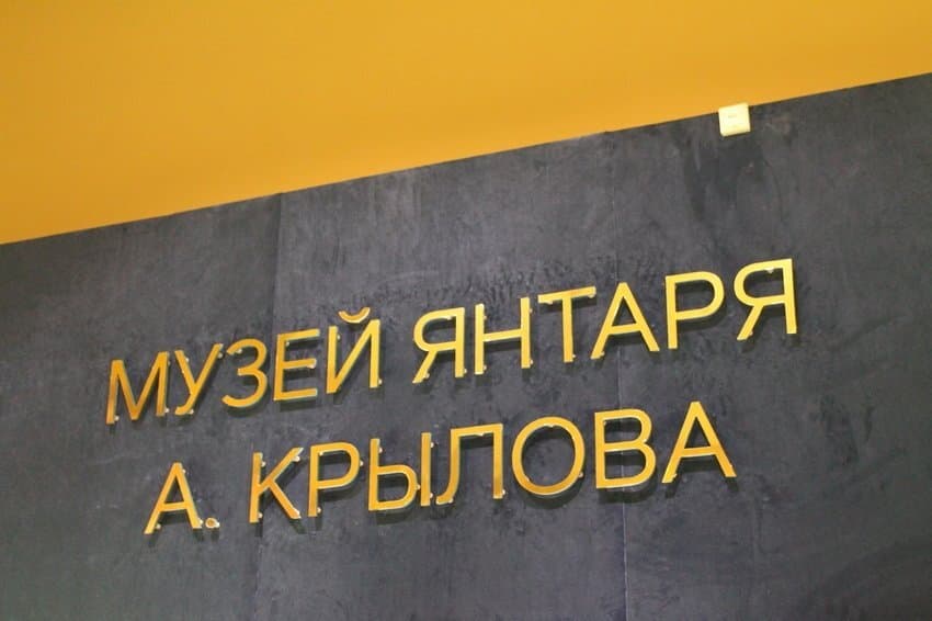 Музея янтаря Александра Крылова