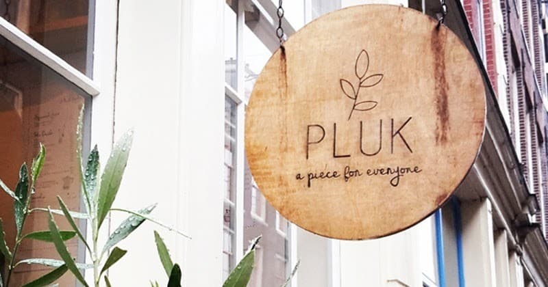 Pluk