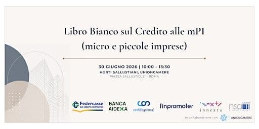 Libro Bianco Sul Credito Alle Mpi (Micro E Piccole Imprese)