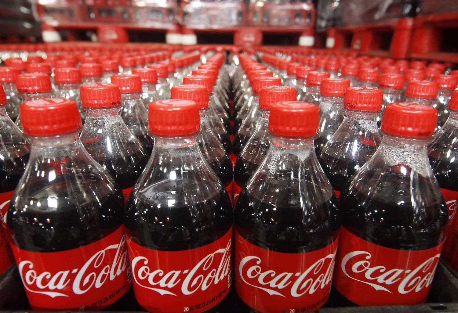 Экскурсии На Завод Coca-Cola