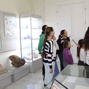 Постоянная Экспозиция Геологического Музея Имени Вернадского «Геологический Очерк Окрестностей Москвы»
