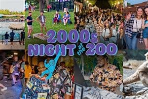2000S Night At The Zoo - An Adults Only Evening At Lincoln Park Zoo