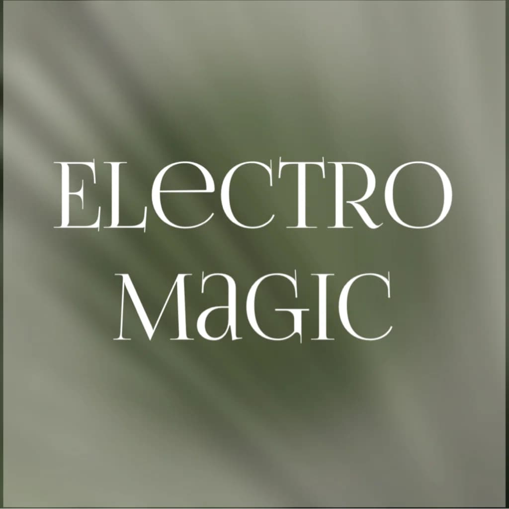 ElectroMagic Studio