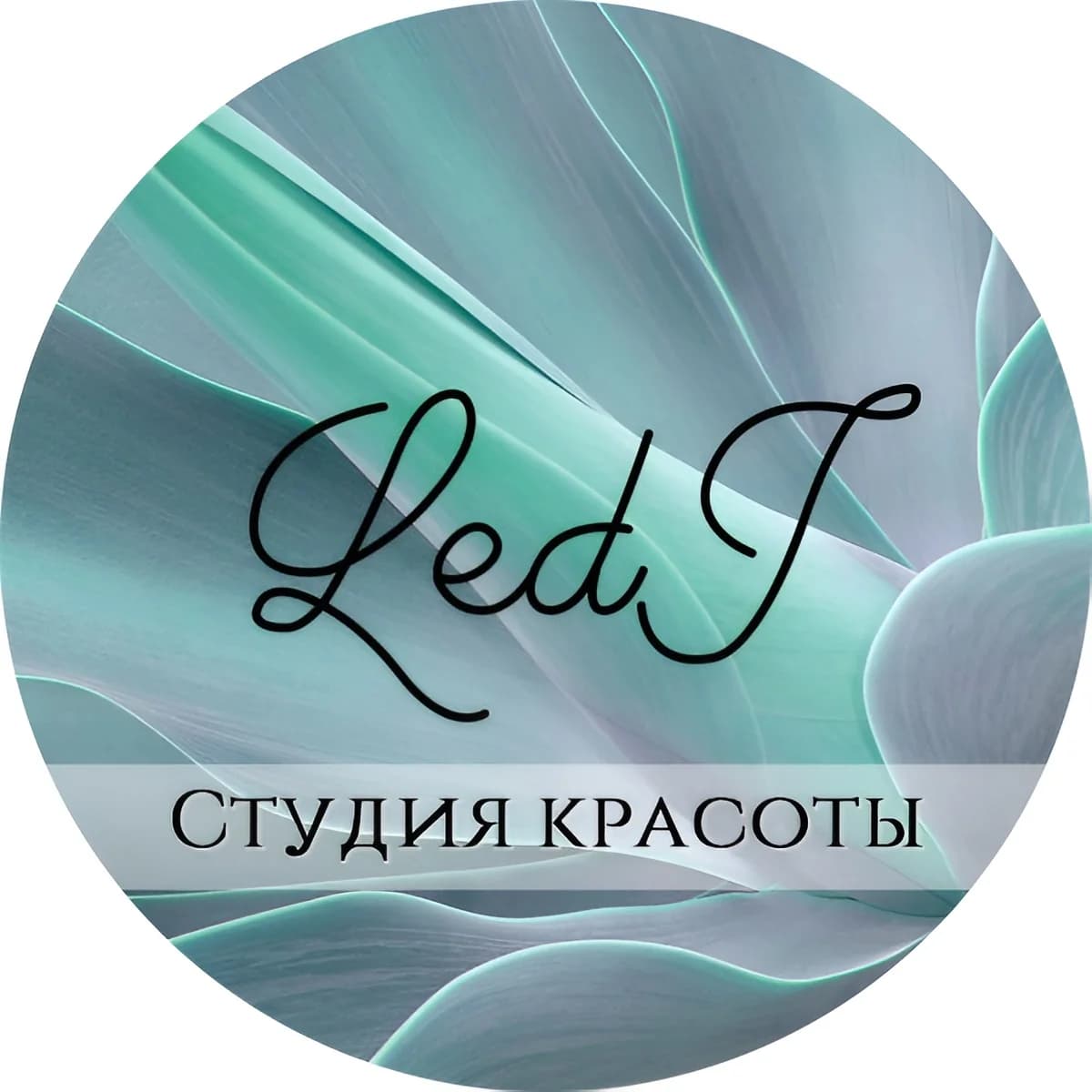 Студия красоты Ledi