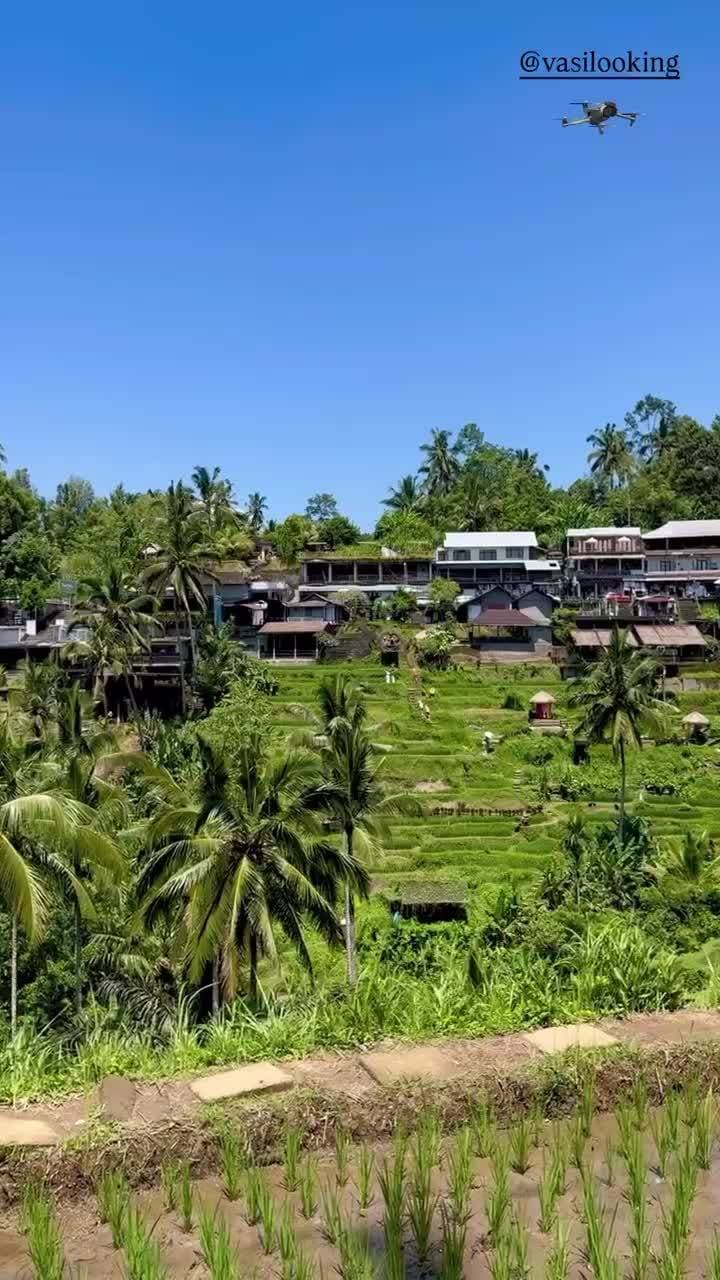 🇮🇩