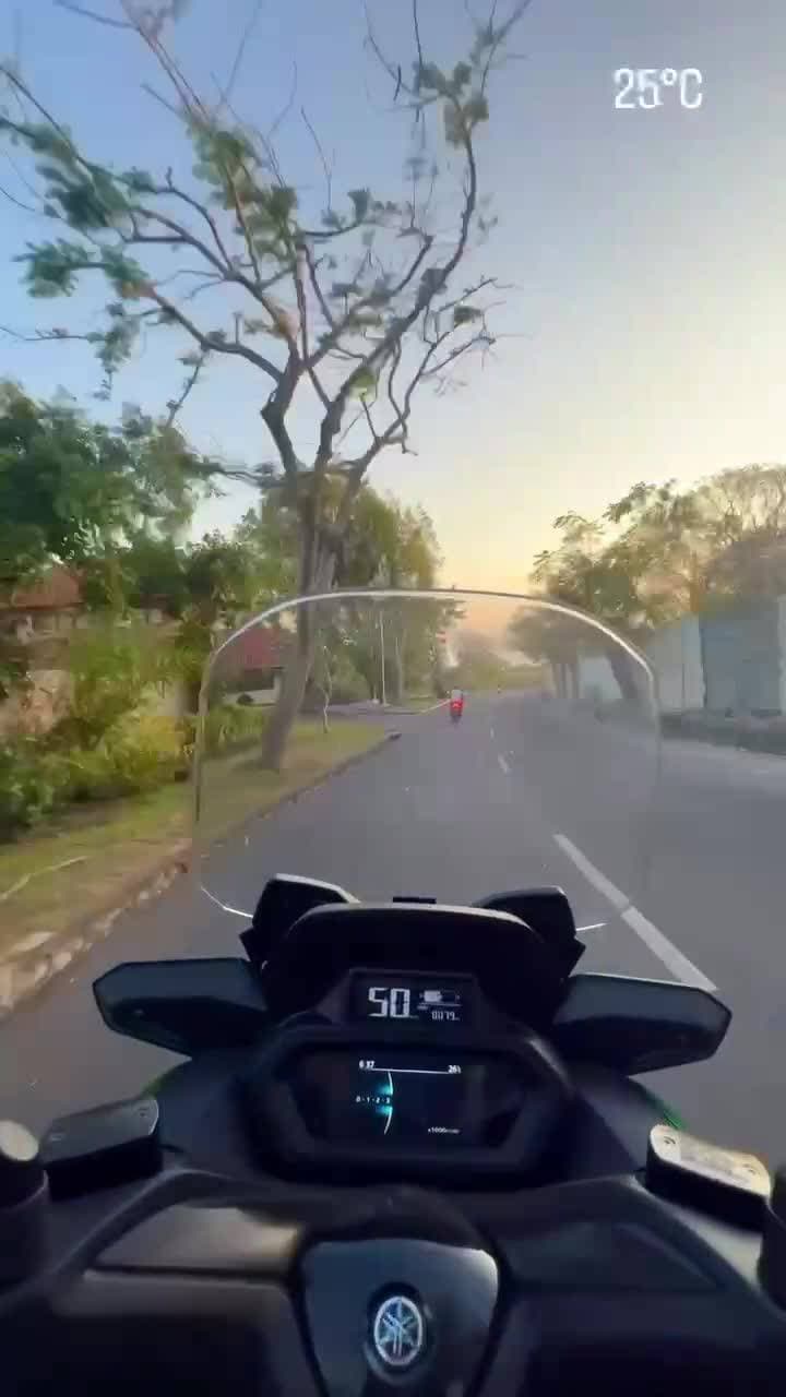 🇮🇩