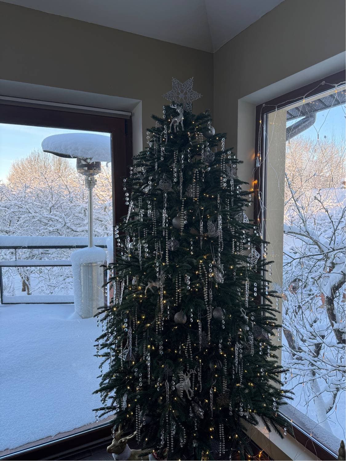 Наша 🎄