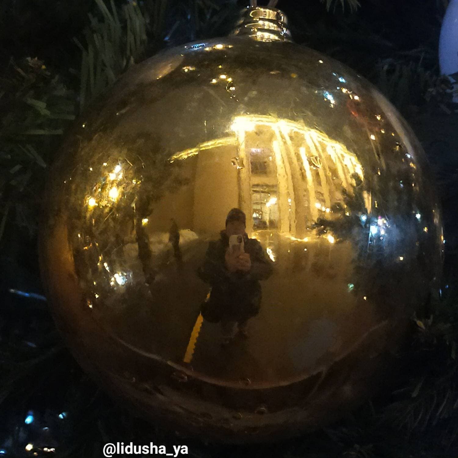Новогоднего Вам Настроения 🌲☃️🌲Флешмоб #селфишарик
#селфишарик #флешмоб #новогоднеенастроение #swapmap