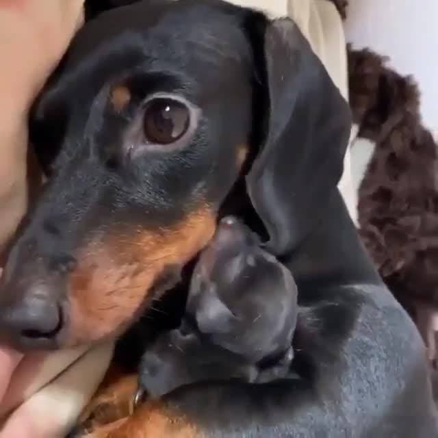 как мило ❤️