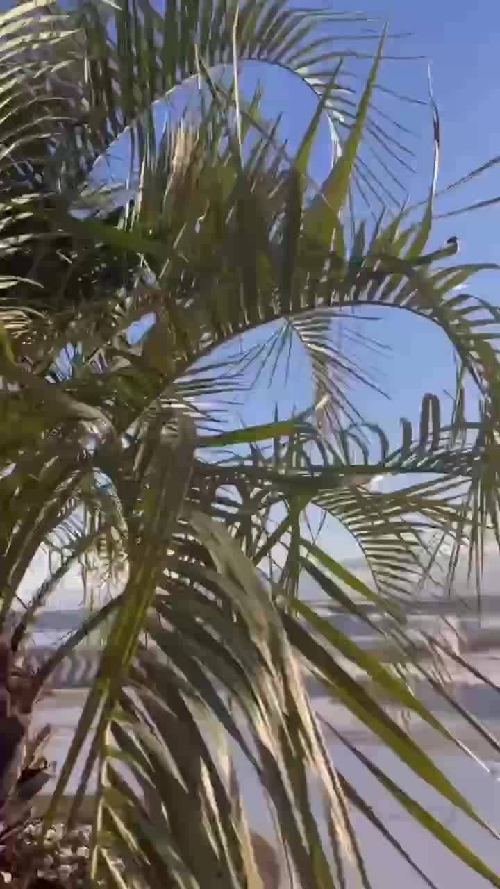 ☀️