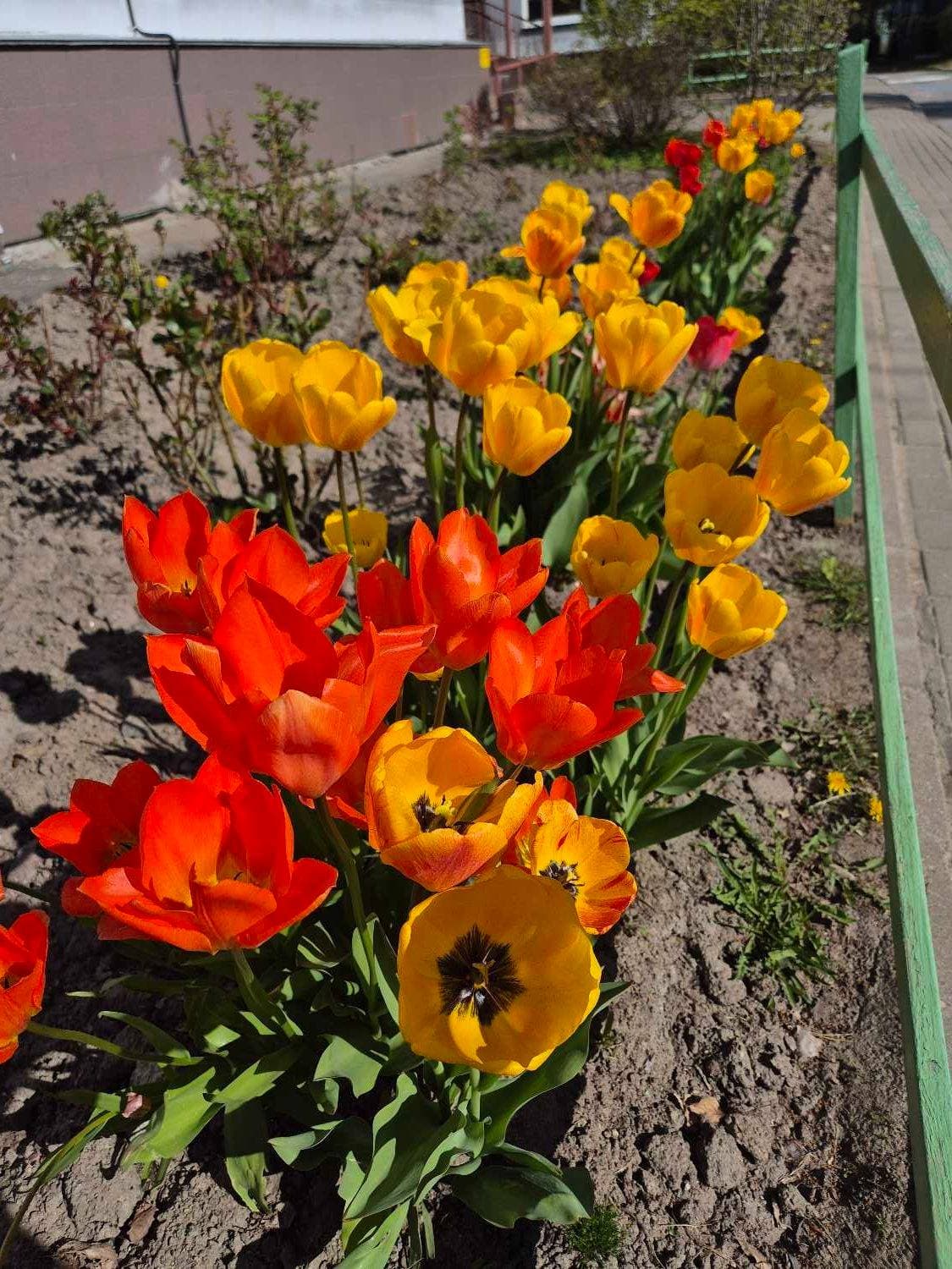 А в детском саду - красота 🌸🌸🌸