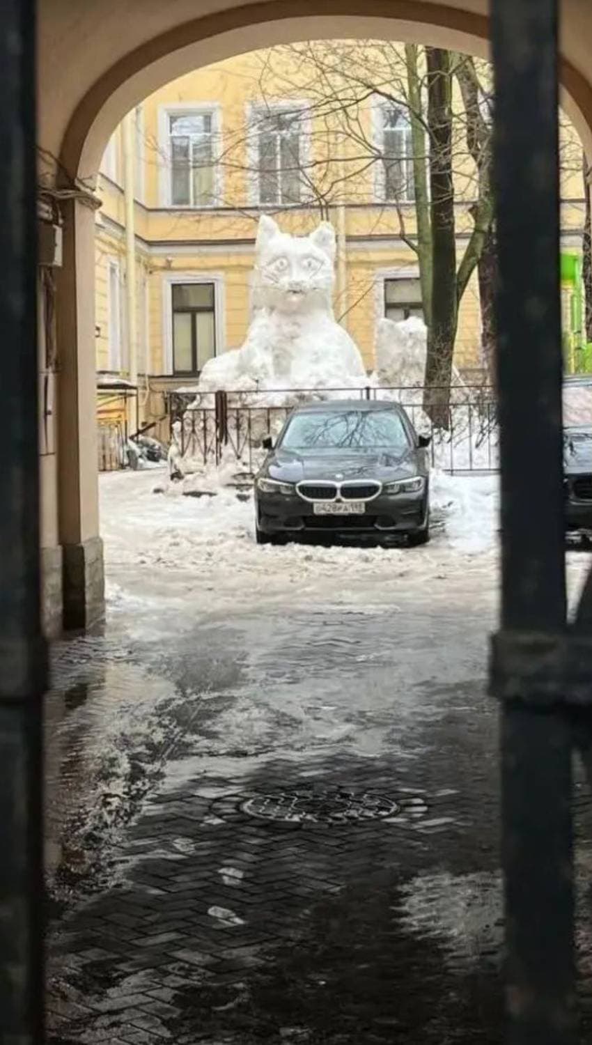 Размер внушает? 🙃👍