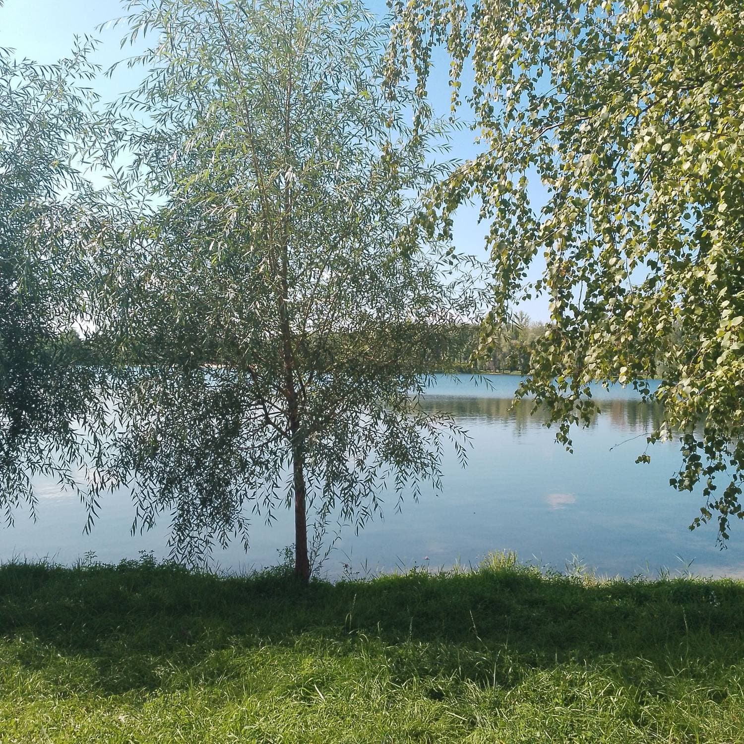 прогулка по озеру