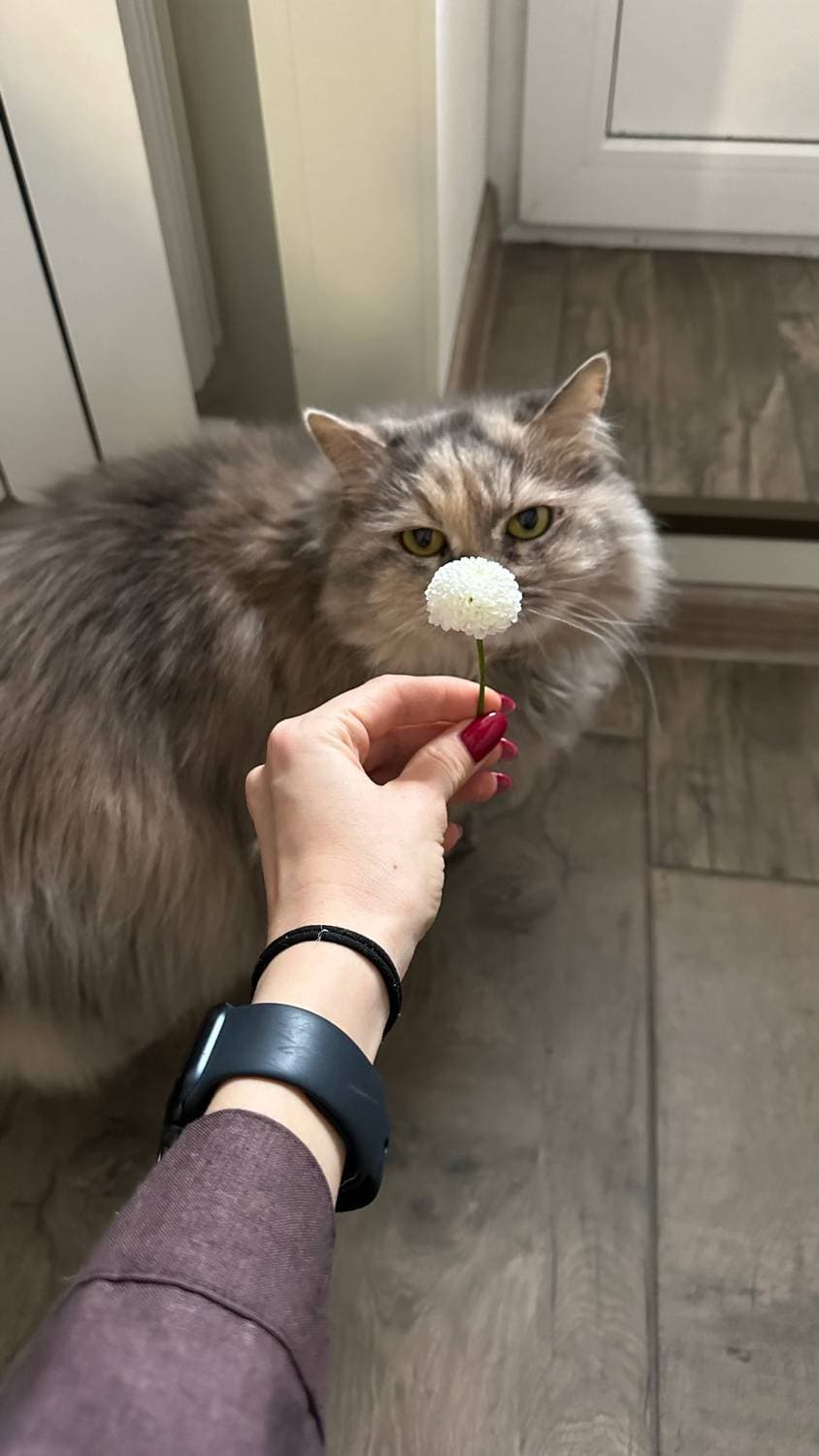 Празднуем ❤️ С Максима цветочки, с меня тортик