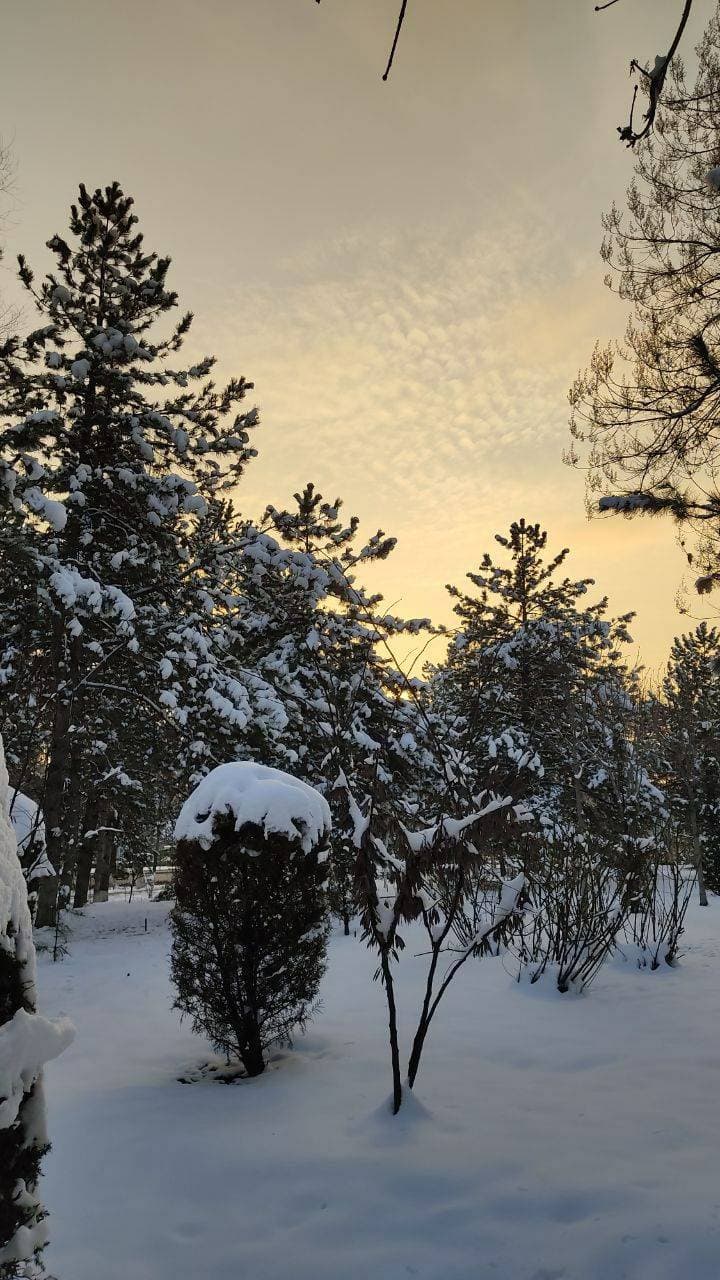 ❄️❄️❄️
