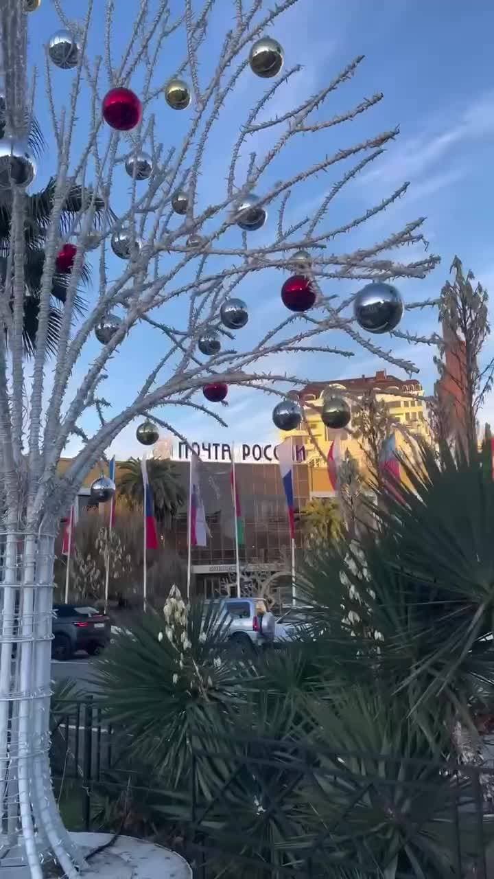 🎄🎄🎄