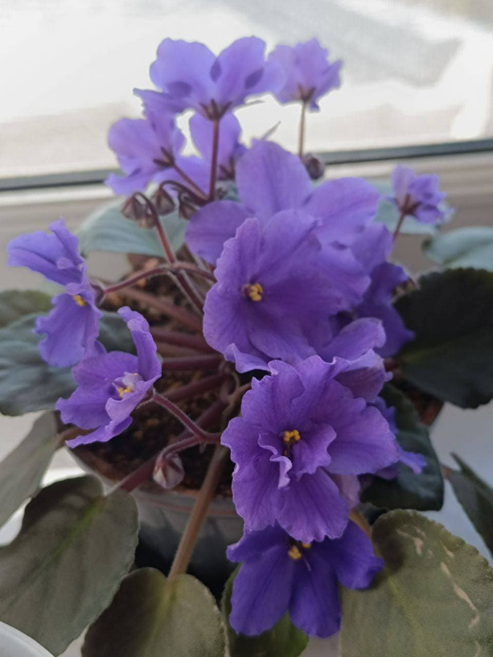 💐