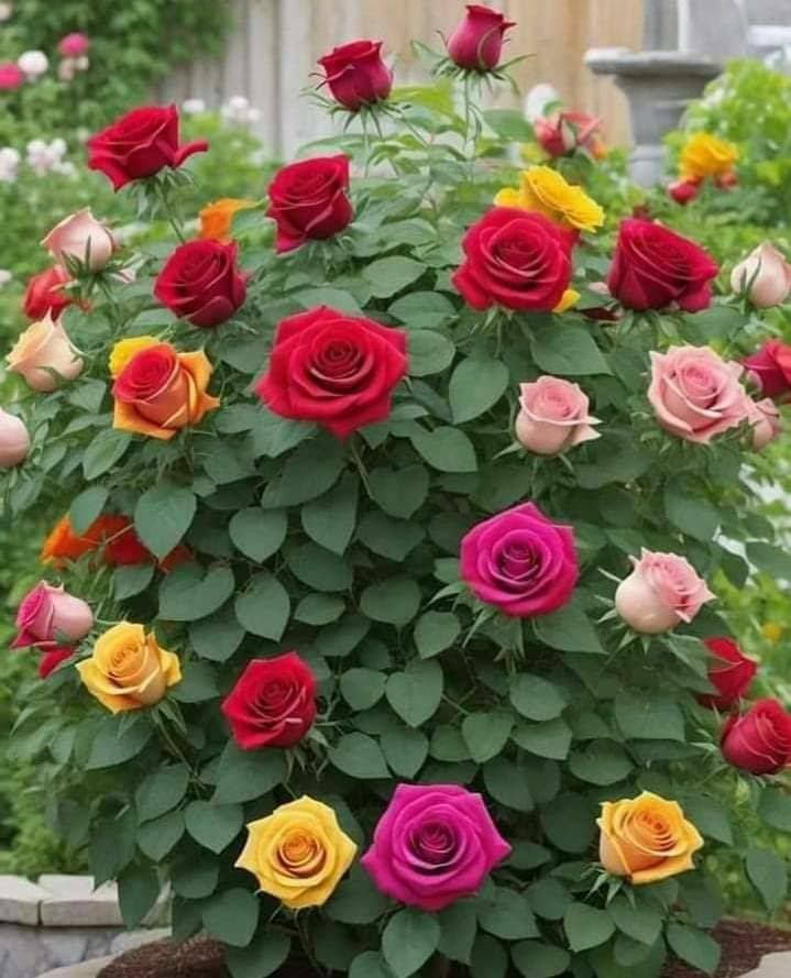 💐❤️