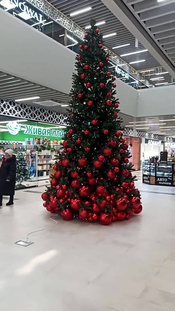 Друзья! Всех с Новым годом по- старому🌲! Всем здоровья и исполнения загаданных желаний!🐉🧑🎄💥 #видео #видеопоздравления