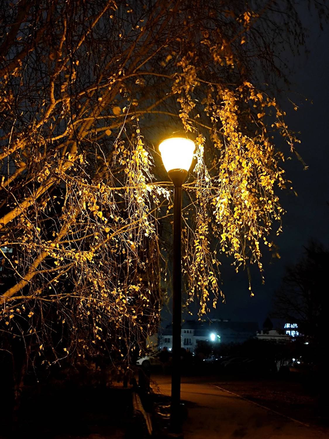 💡