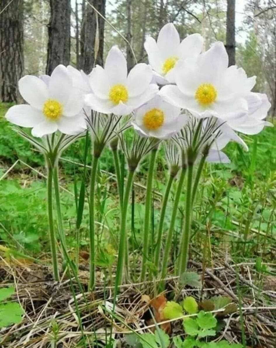 💐