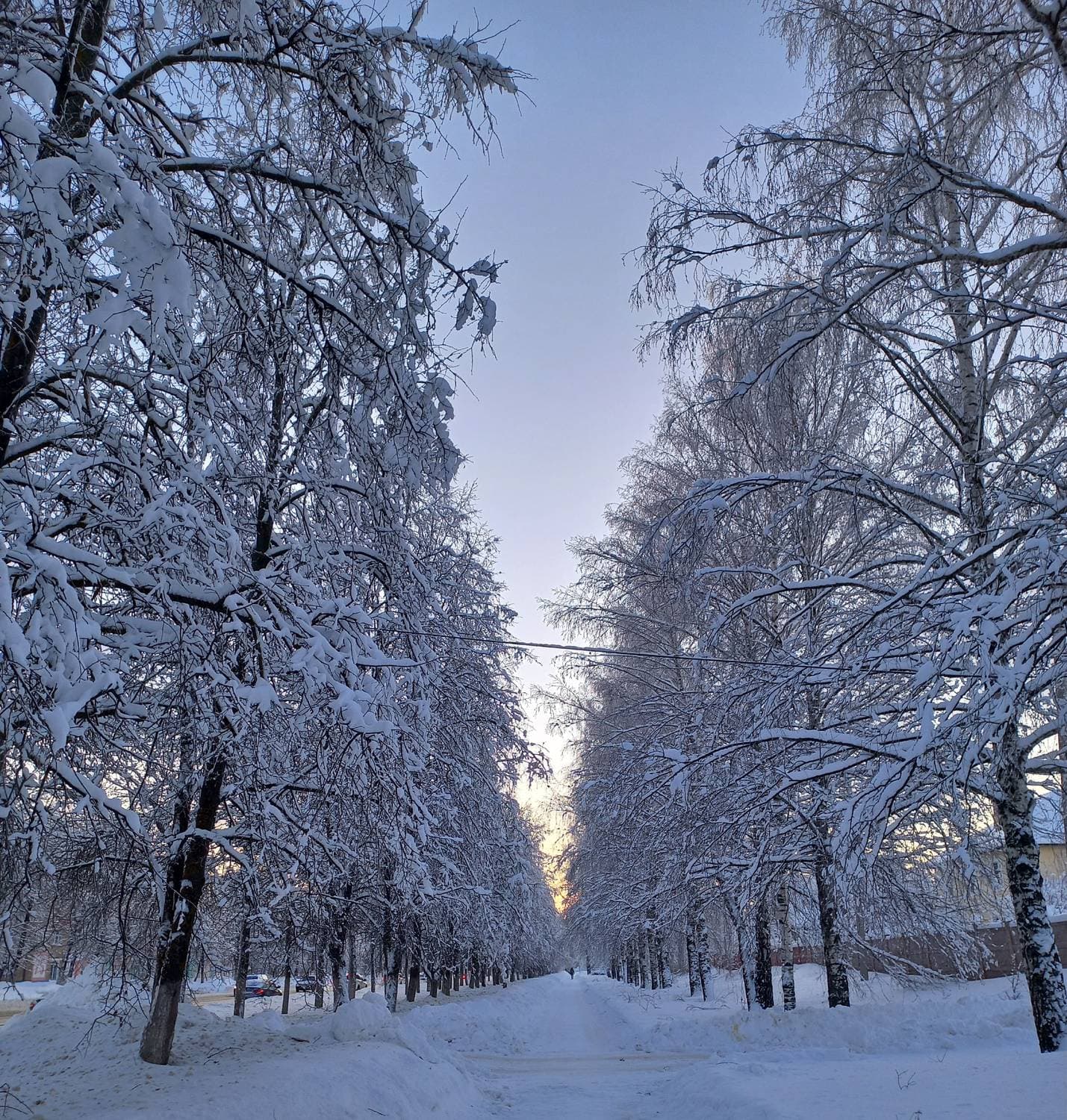 морозное утро