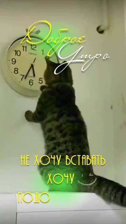 😂