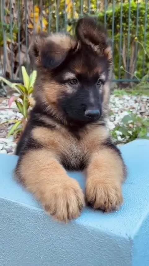 очень милый ❤️