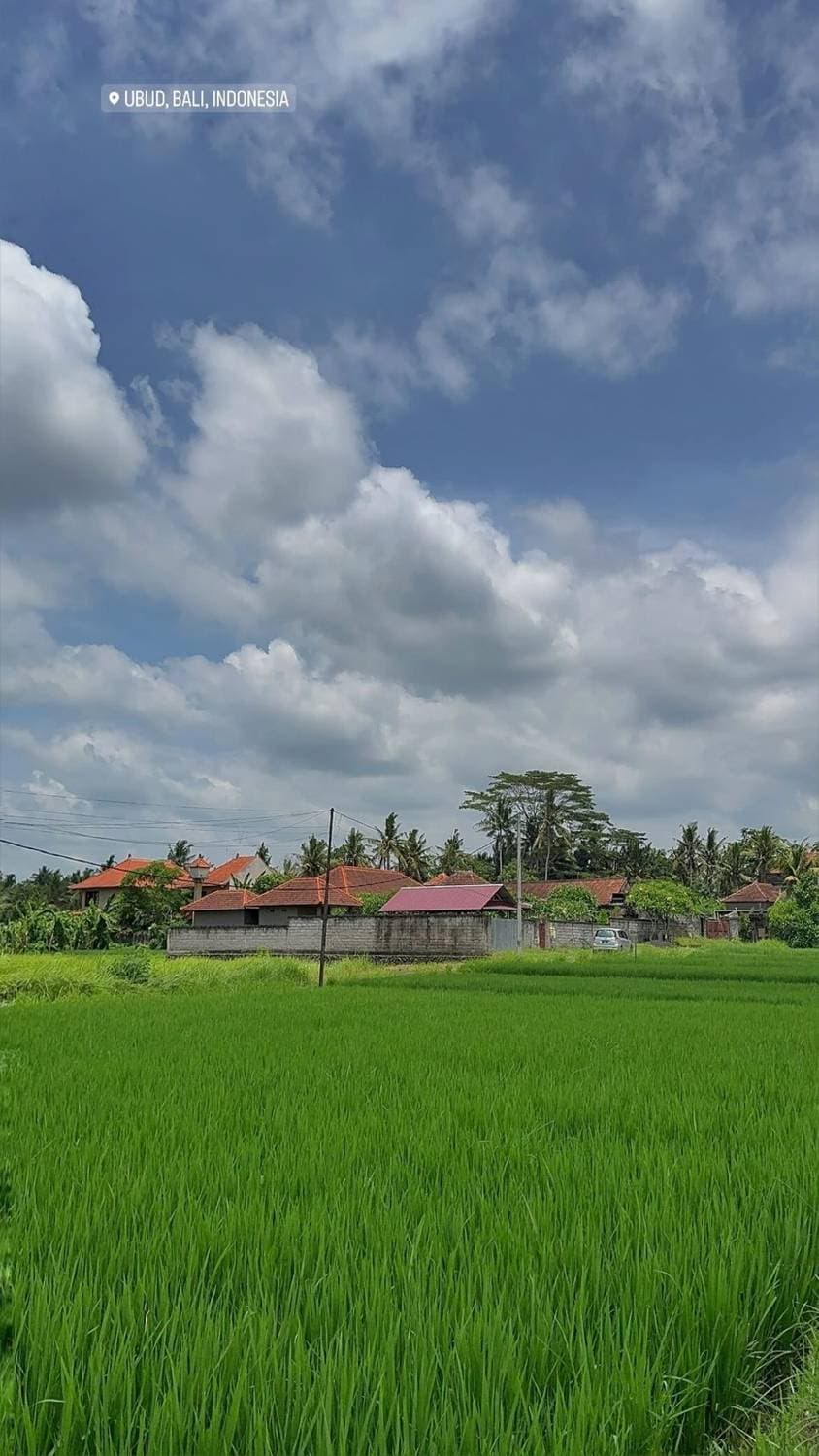 🇮🇩