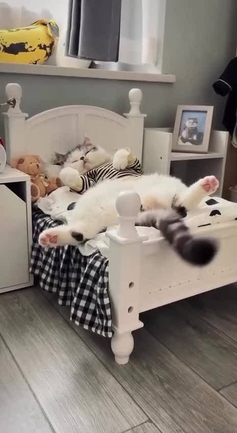 я сплю ❤️