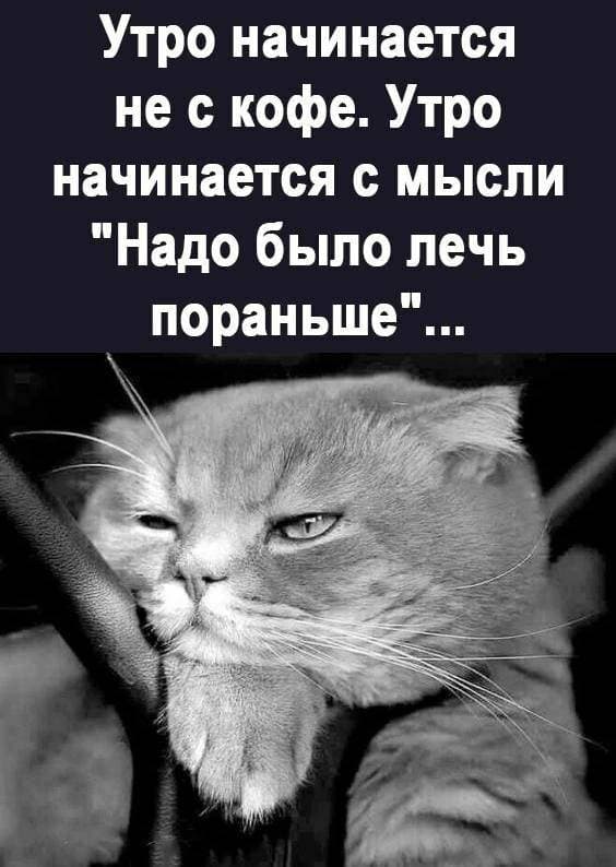 😂😂😂