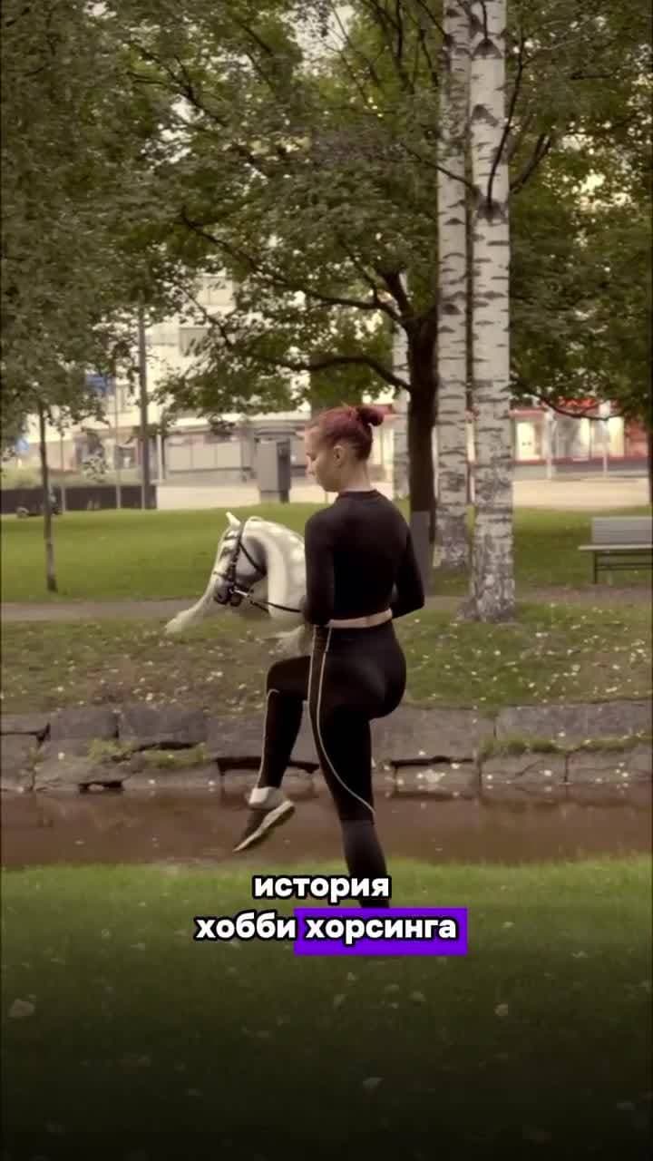 История хоббихорсинга