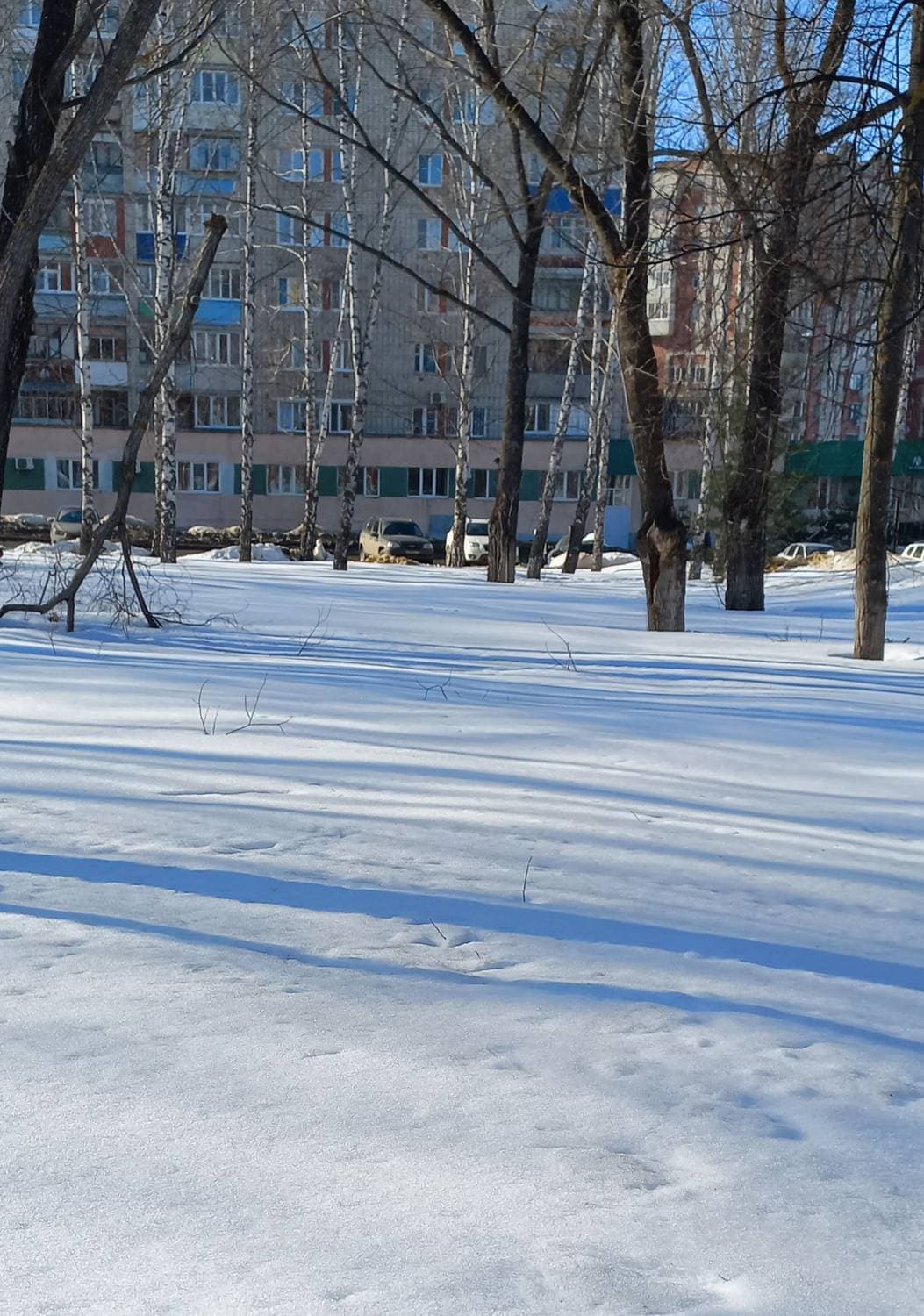 голубые тени