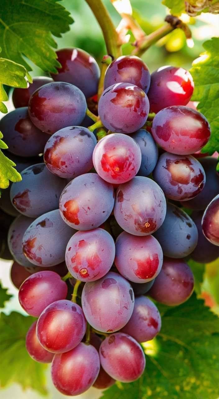 🍇
