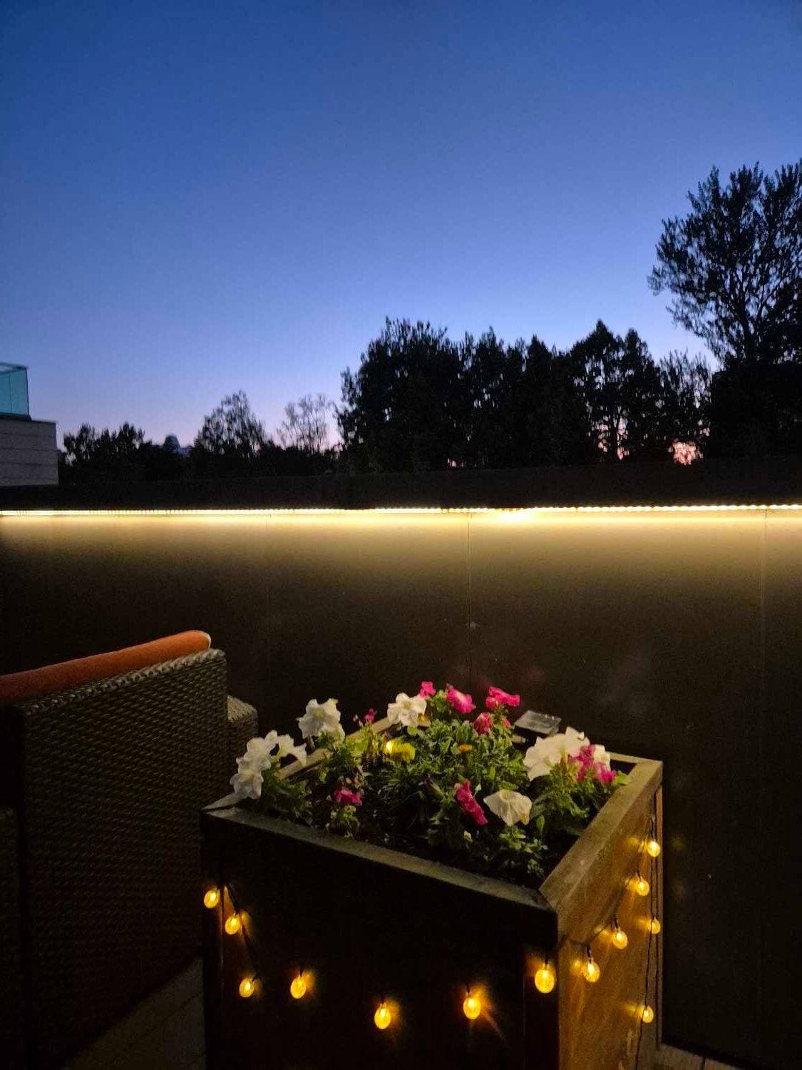 🌛