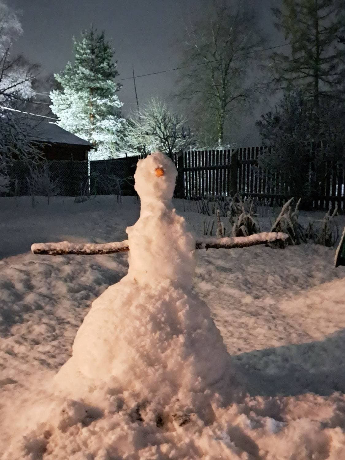 Где-то в деревне перед Новым годом🌲❄️☃️