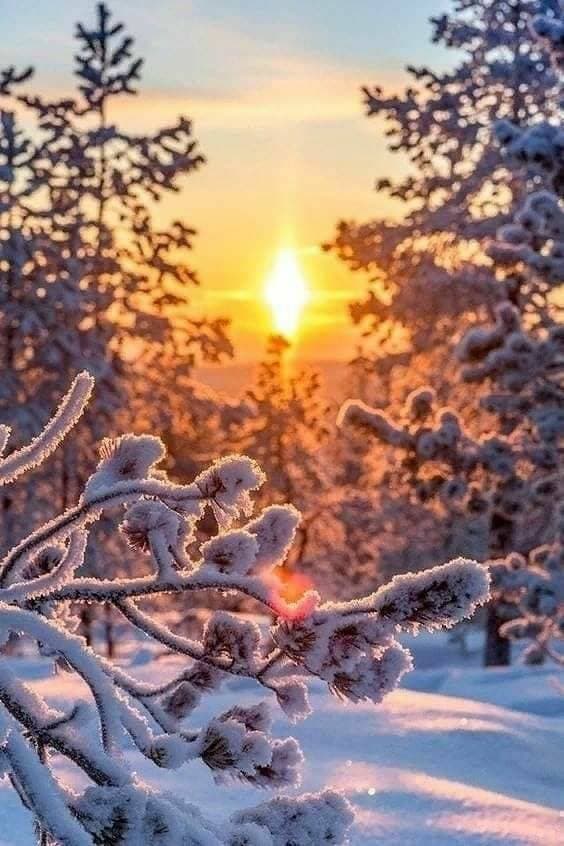 ❄️❄️❄️