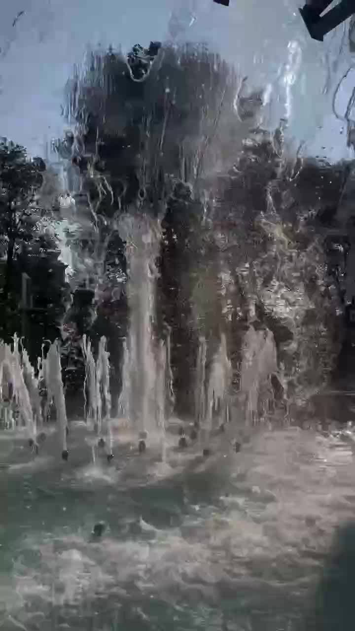 🌴
