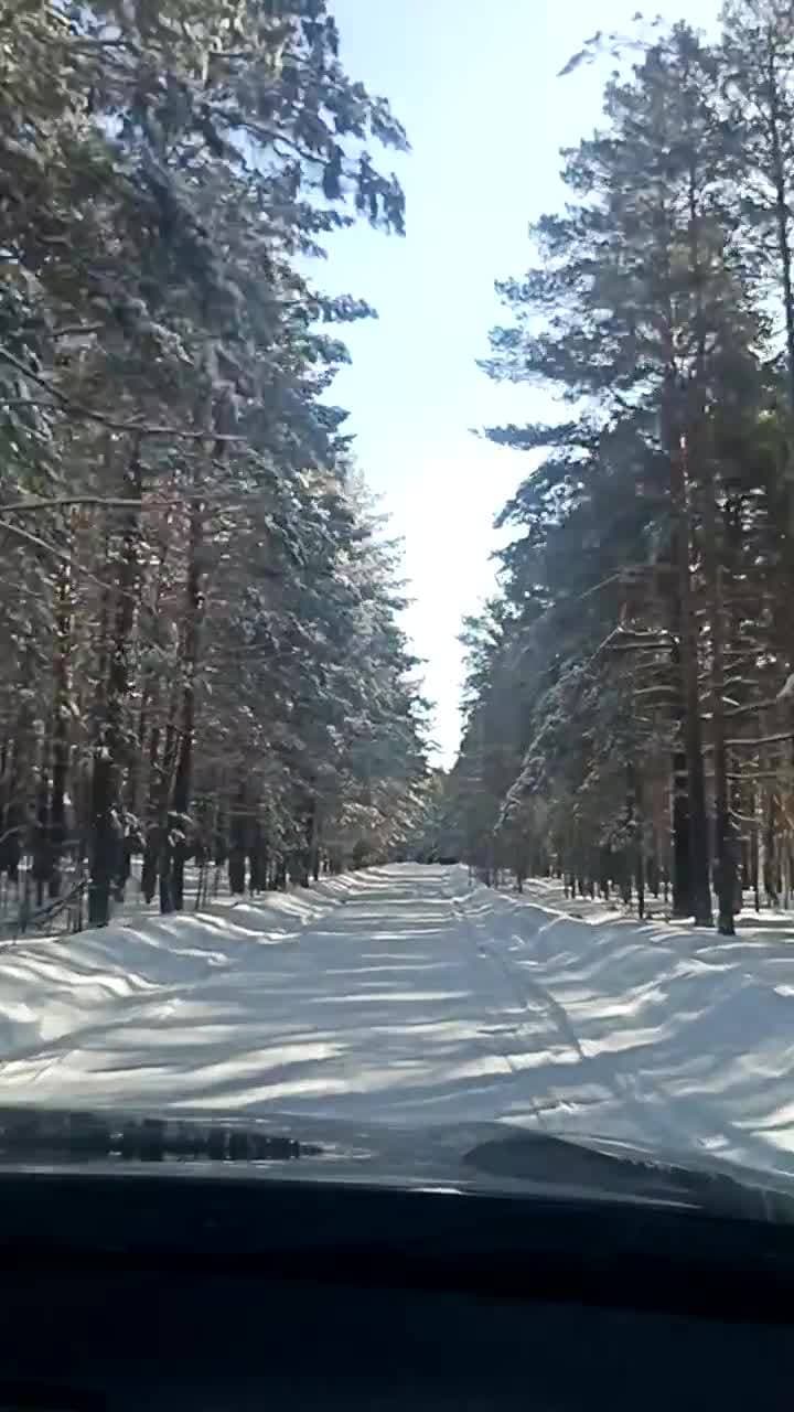 Зима не сдается🤭. Друзья,а кто угадает автора мелодии? #видео #зима