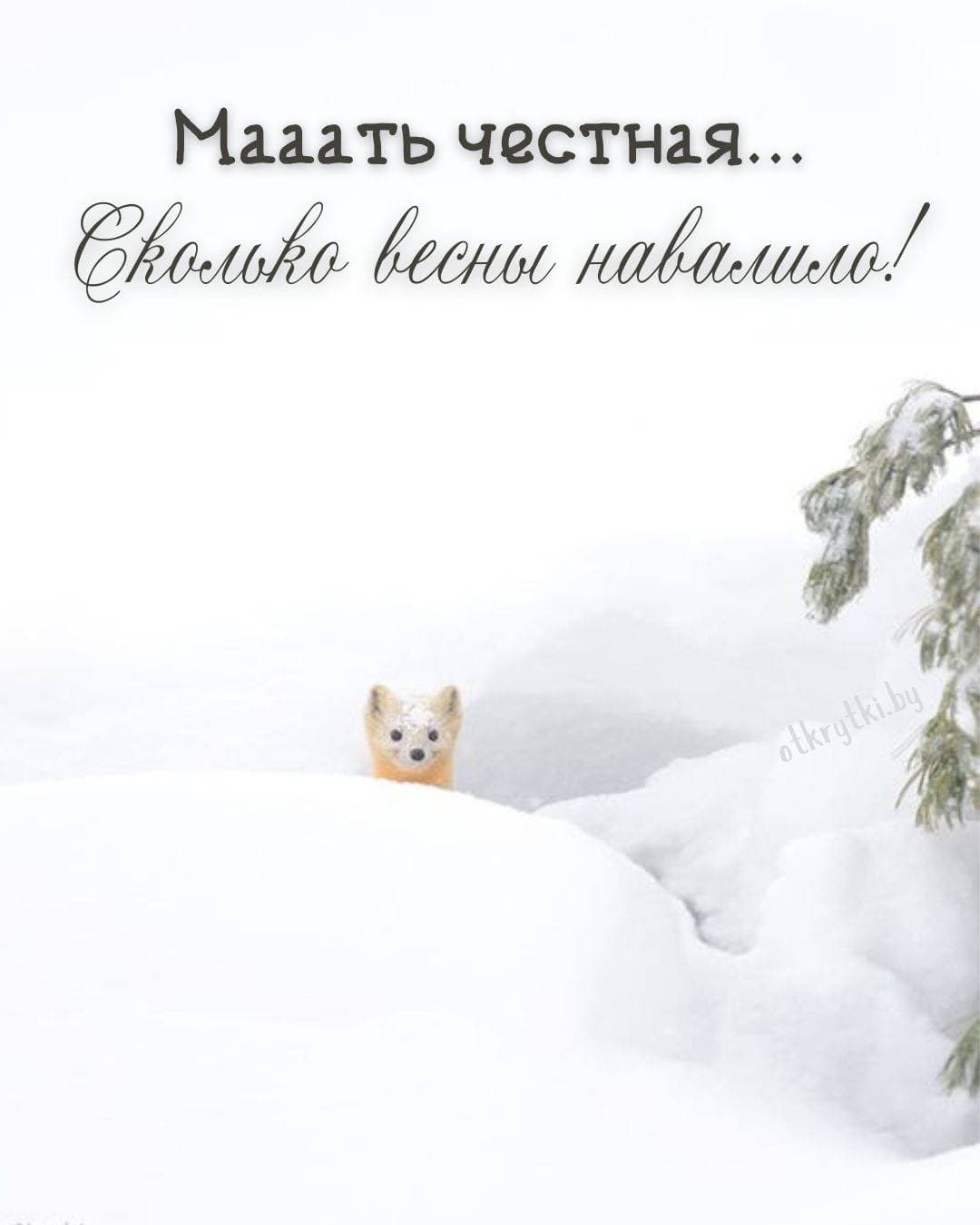 Всех с началом Зимы🙂