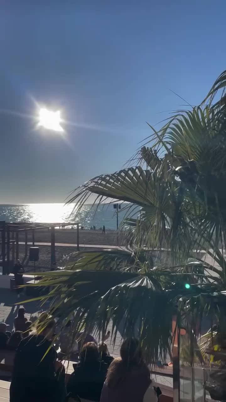 🌴🌊