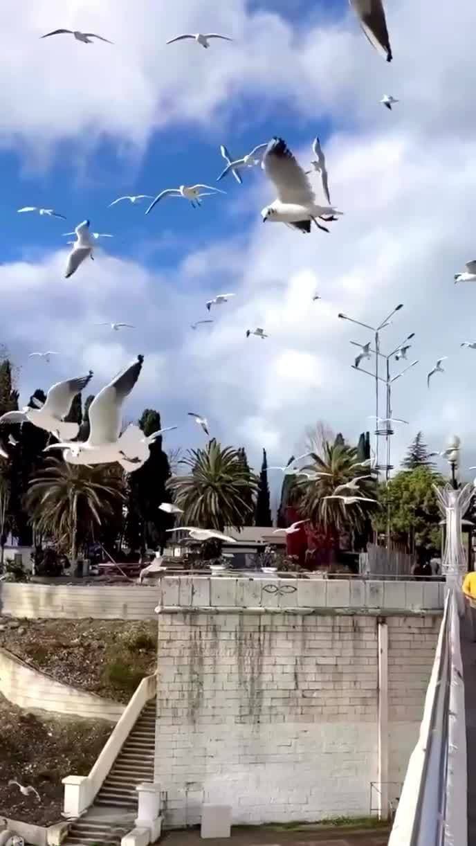 Sochi