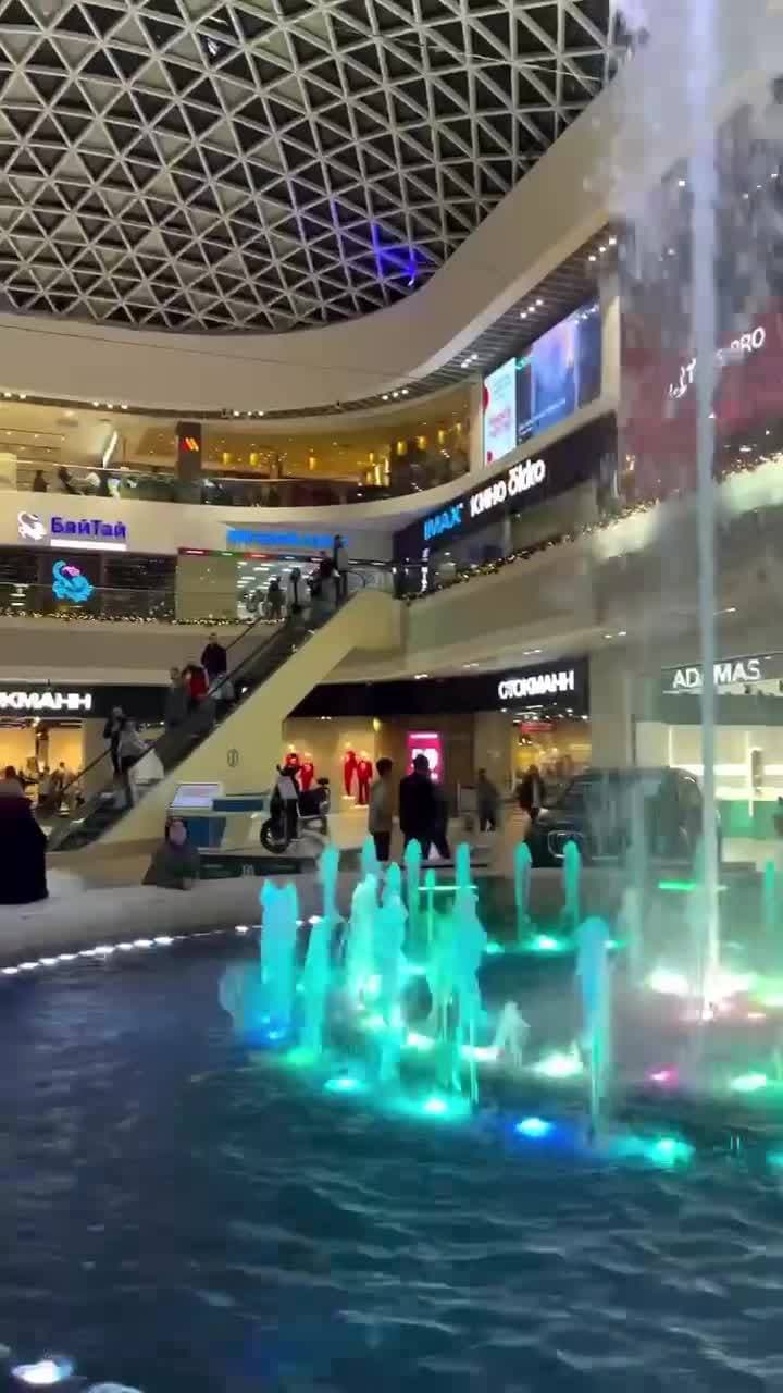 🎄🎄🎄