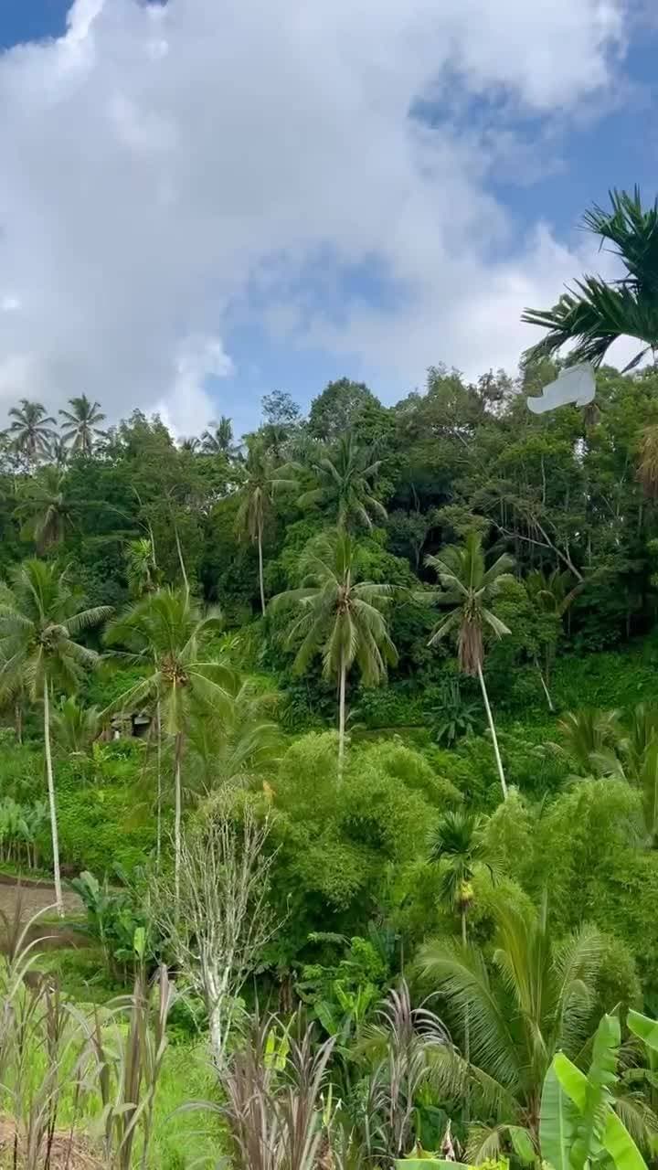 🇮🇩