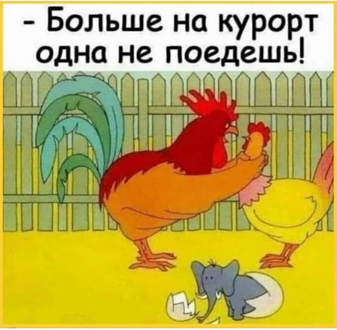 😂😂