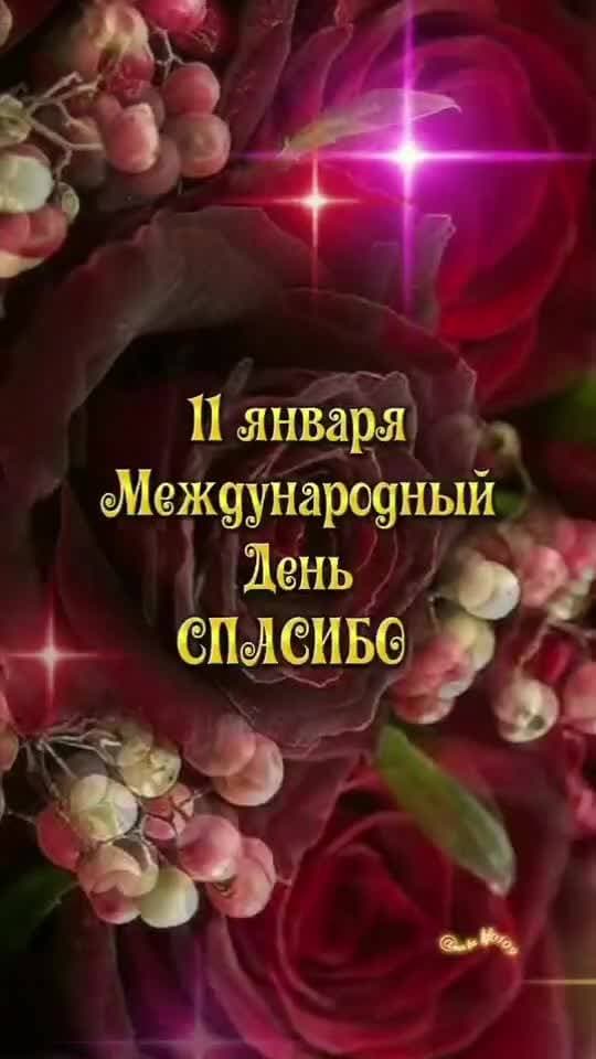 Международный день СПАСИБО ❤️