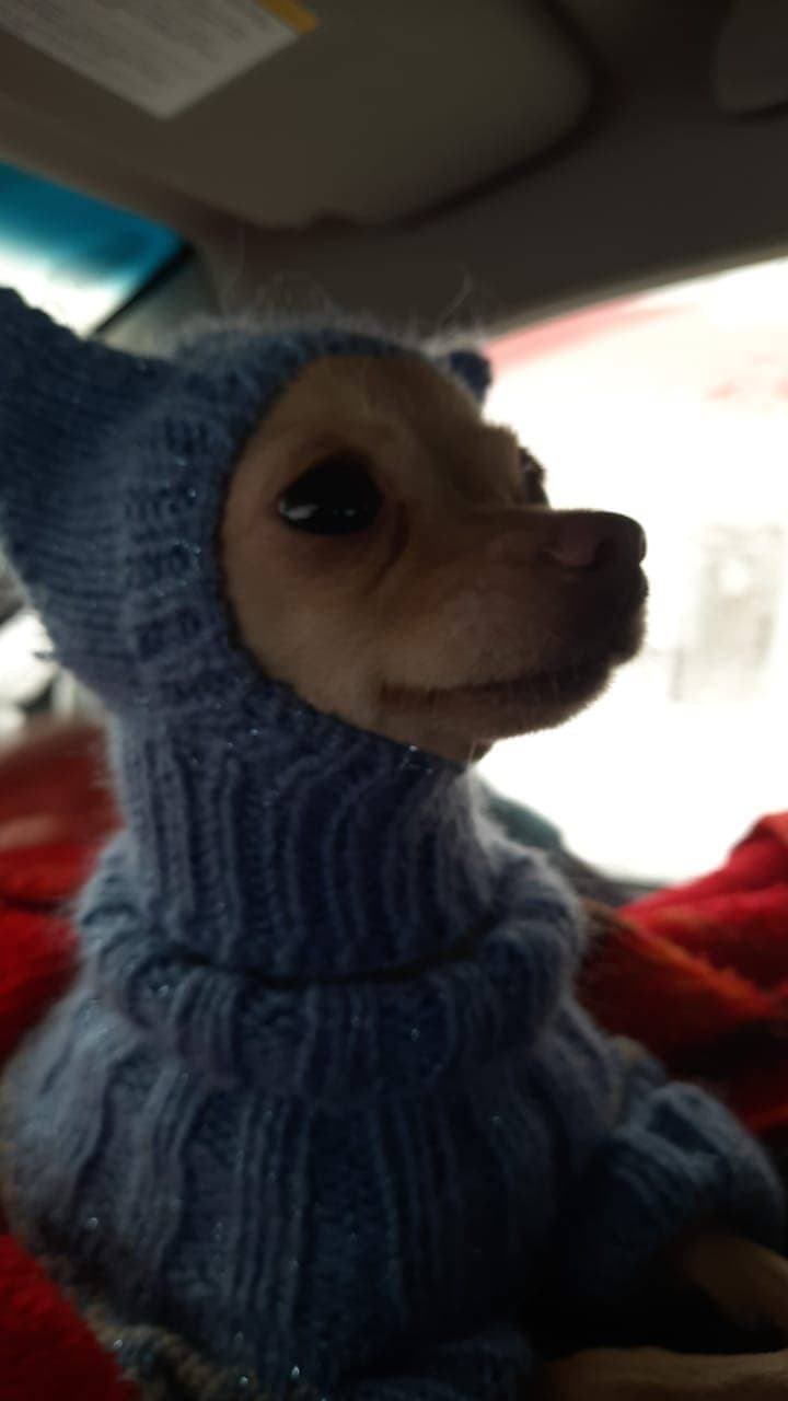ИЗЮМКА❤️